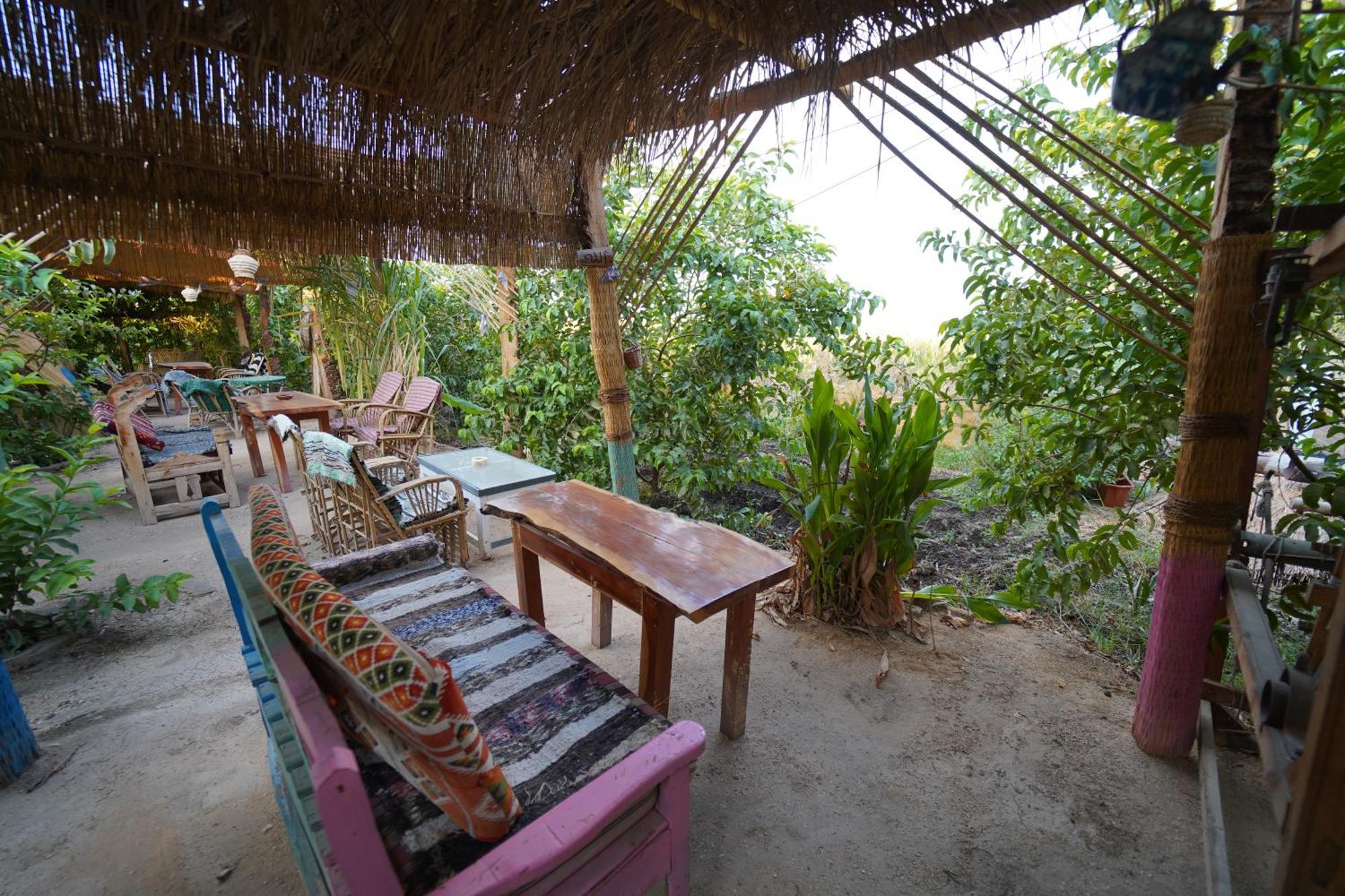 Bedouin Lodge Luxor Exteriör bild